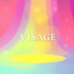 VISAGE